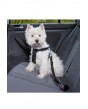 Postroj pes Bezpečnostní do auta S Trixie 