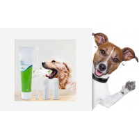 Dentální hygiena psů